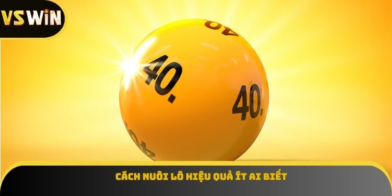 Cách nuôi lô hiệu quả ít ai biết