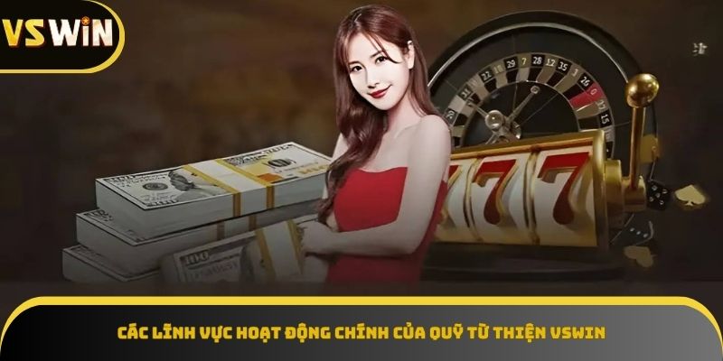 Lĩnh vực hoạt động Quỹ từ thiện VSWIN