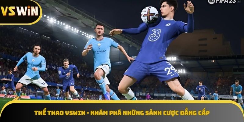 Các sảnh cược Thể Thao VSWIN với nhiều sản phẩm game